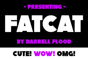 FatCat: The Bold Sans Serif Typeface for High-Impact Editorial Design