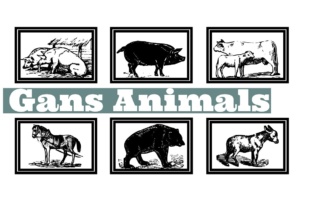 Gans Animals: A Creative Dingbat Font for Distinctive Brand Identity