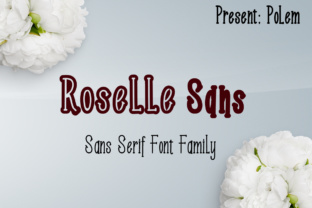 Roselle Sans: The Modern Typeface for Consistent Small Business Branding