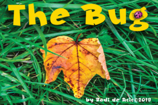 The Bug: A Striking Blackletter Typeface for Bold Web Design